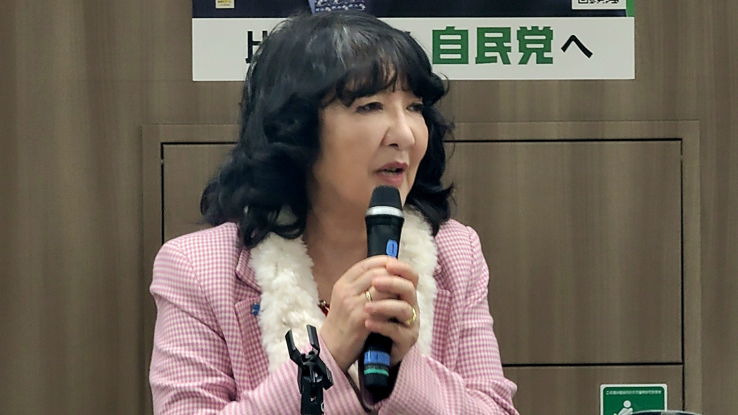 Ein ganz normaler Wahlkampfabend in Tokyo